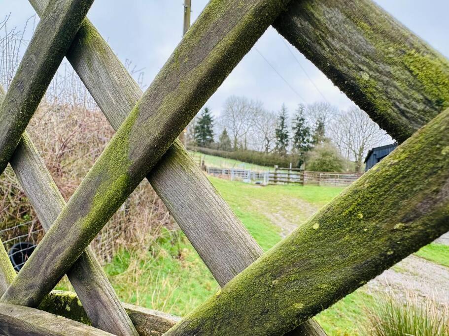 Upper Caerfaelog Farmhouse Llanbister المظهر الخارجي الصورة